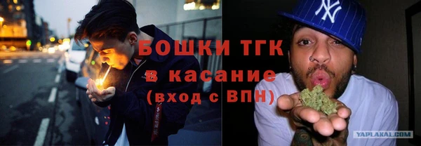 твердый Алексеевка