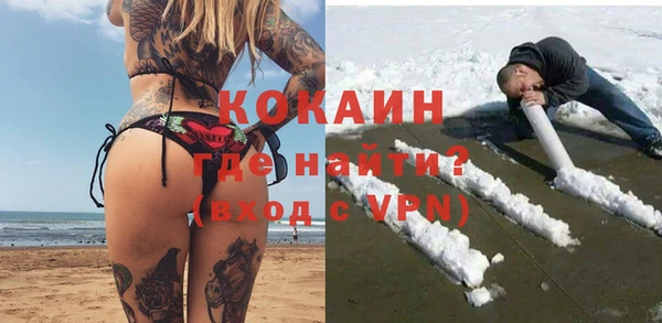 гидра Алексин